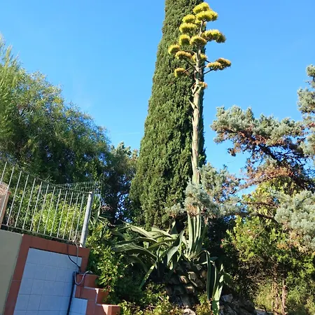 Paradiso Villa